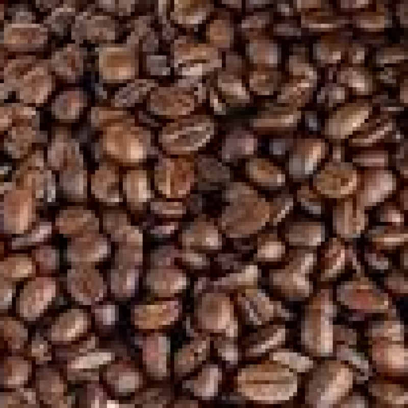 DN Hà Lan tìm các nhà cung cấp cà phê, trà, gia vị, gạo, bún, phở, bánh tráng khô
