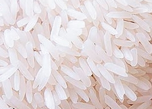 Một doanh nghiệp Mỹ muốn tìm mua gạo