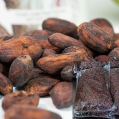 Hạt cacao khô lên men